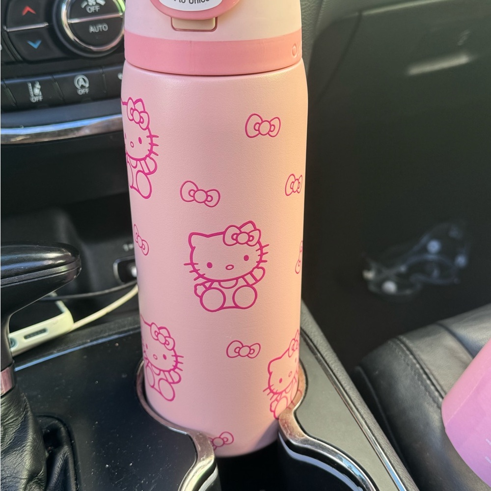 Hello Kitty Pink Stainless Kids Water Bottle new with box